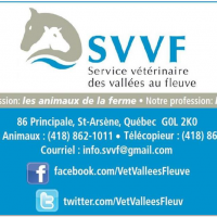 Service Vétérinaire des Vallées au Fleuve